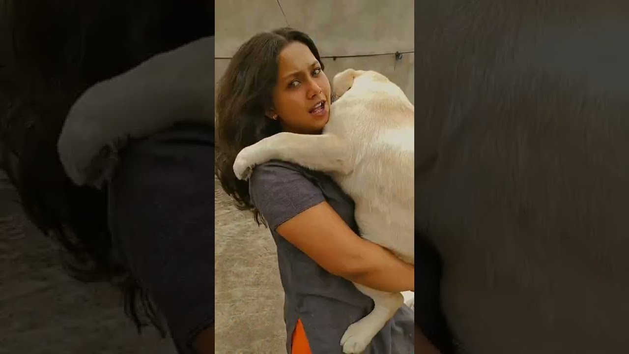 I Love You My Baby 💛। They Are Inocent ❤️। More Mona