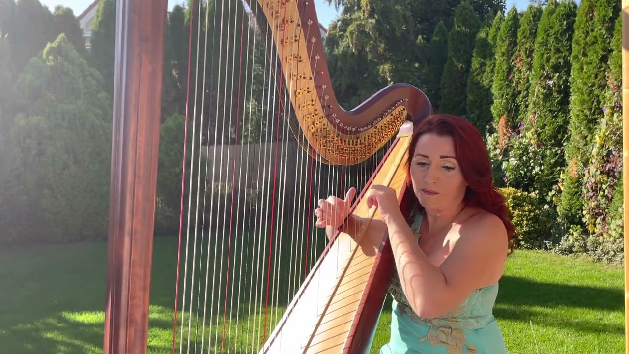 Send in the Clowns (harp solo)