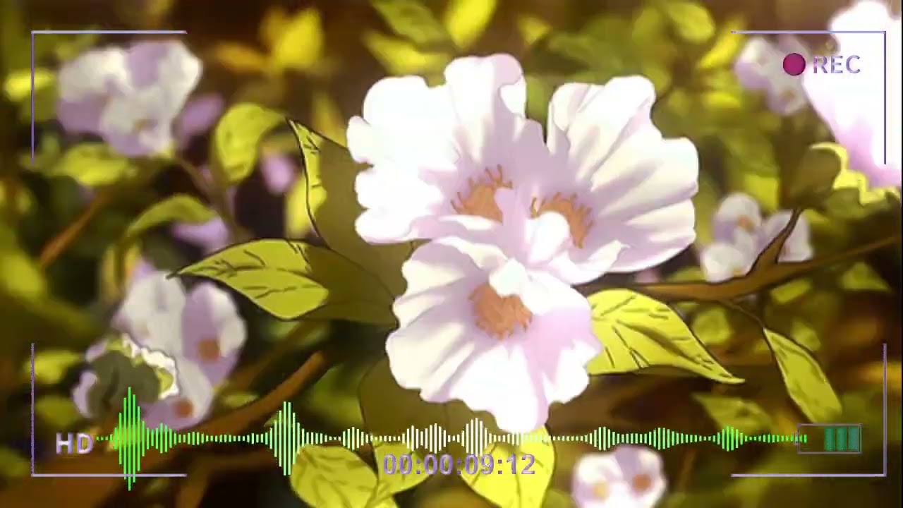 Pale Waves - Gravity (sped up)