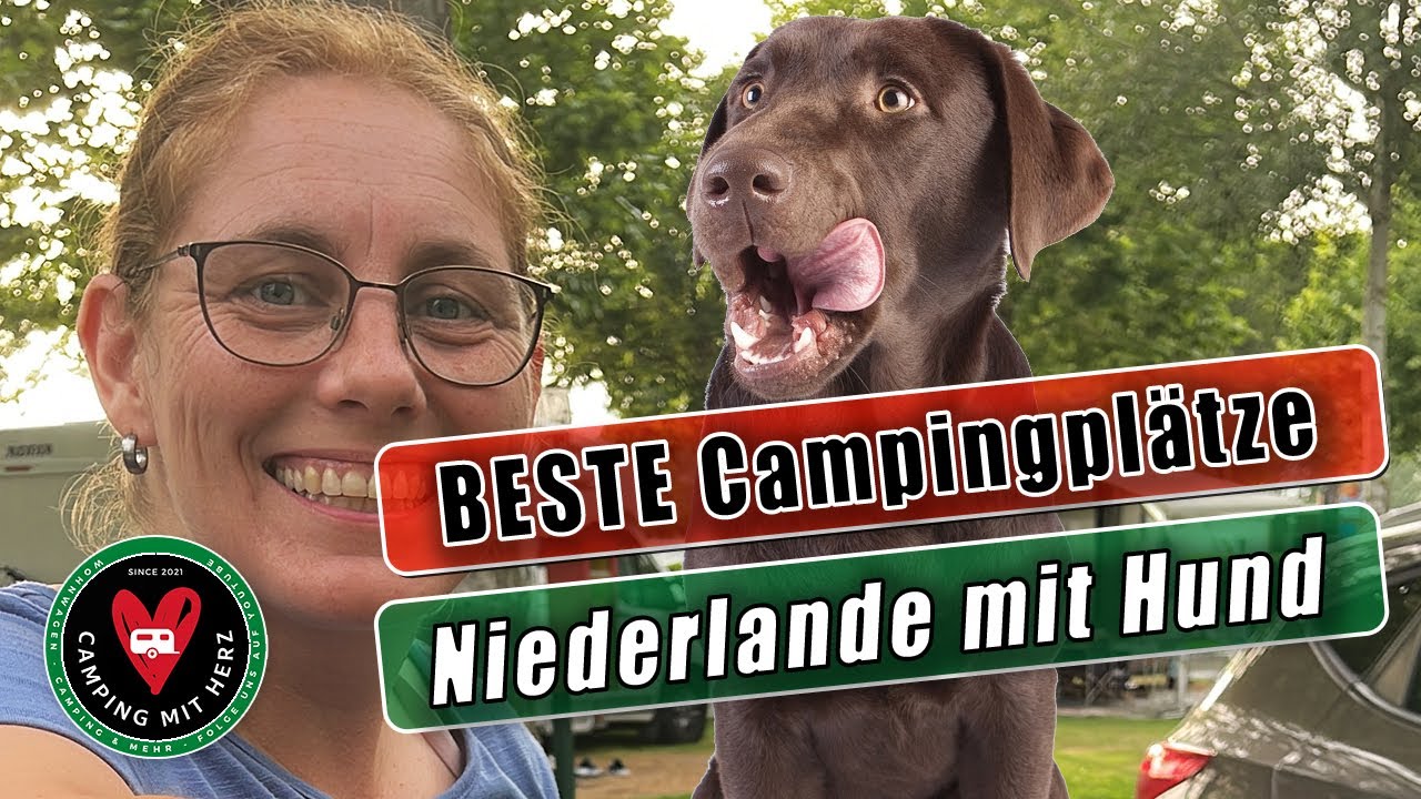 Camping mit Hund - DIE BESTEN Campingplätze in den Niederlanden mit Hund - Camping mit Herz