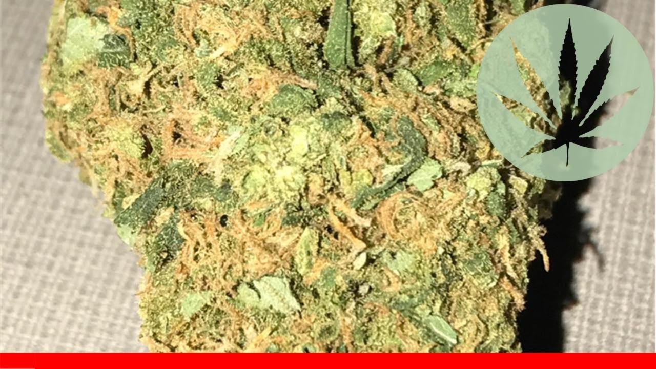 Jupiter Og - All About This Strain