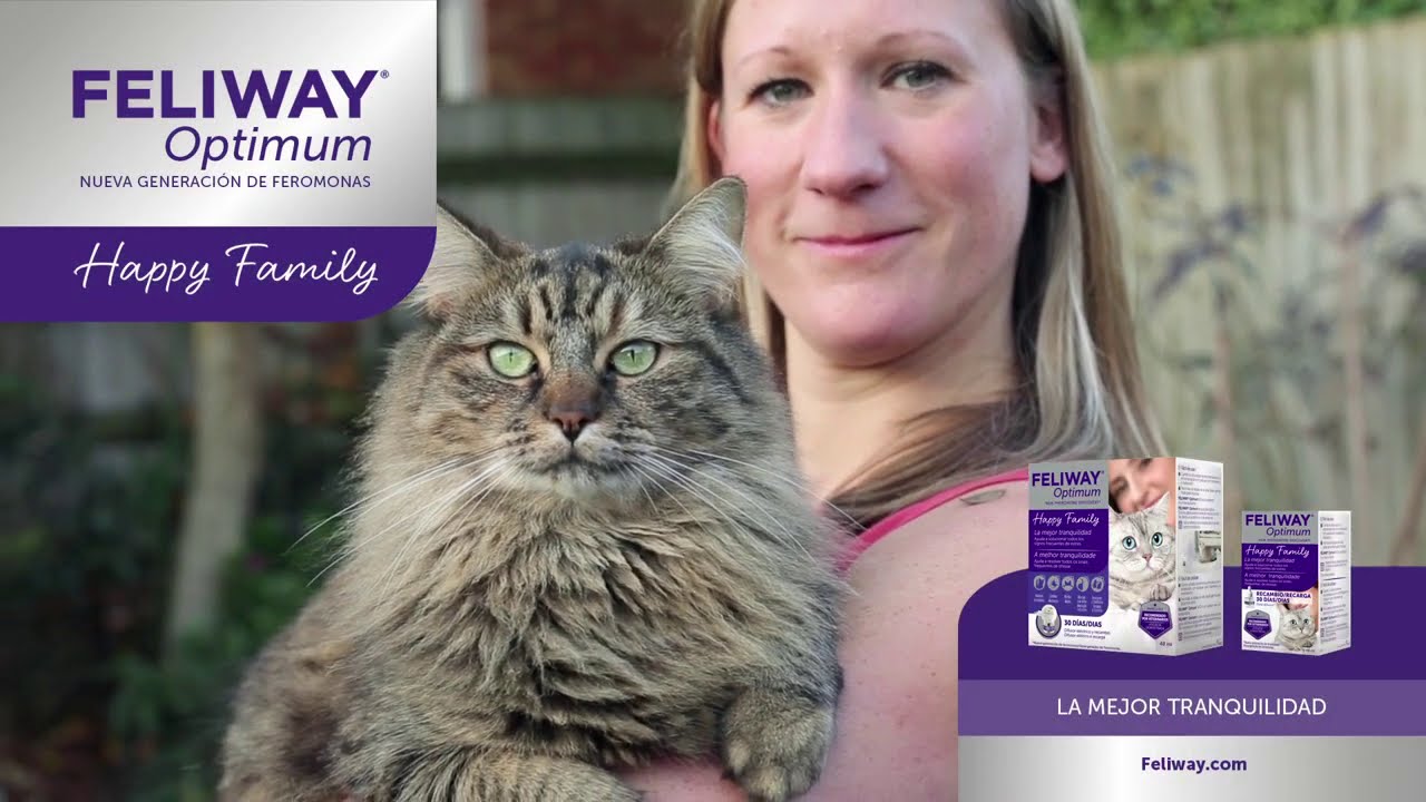 Cómo utilizar FELIWAY Optimum - Piensoymascotas
