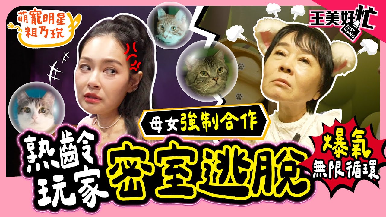 【聯合共腦】王美 王思佳 不靠運氣全憑實力！與 布蘭妮 攜手突破密室逃脫 母女玩到最後直接爆氣！？【 王美好忙 】 萌寵明星粗乃玩 @haveapetday