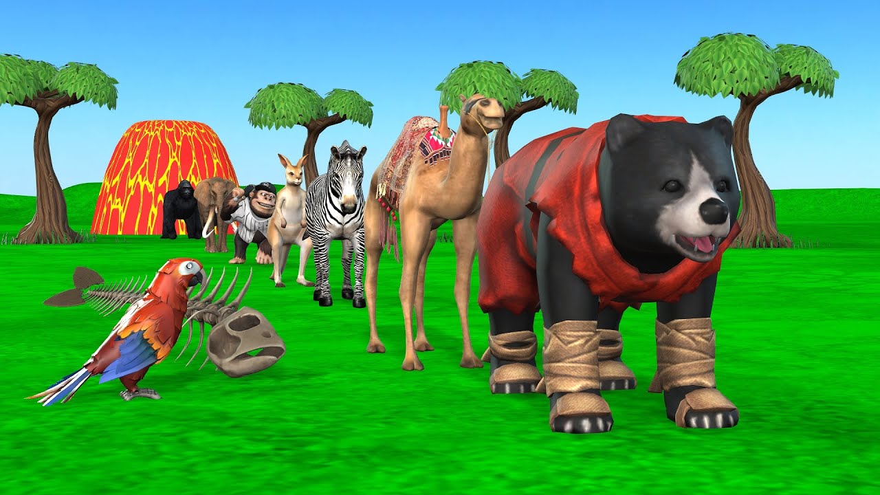 Paint & Animals Dog, Pig, Rabit Buffalo, Lion Fountain Crossing Transformation Animal Cartoon -P1