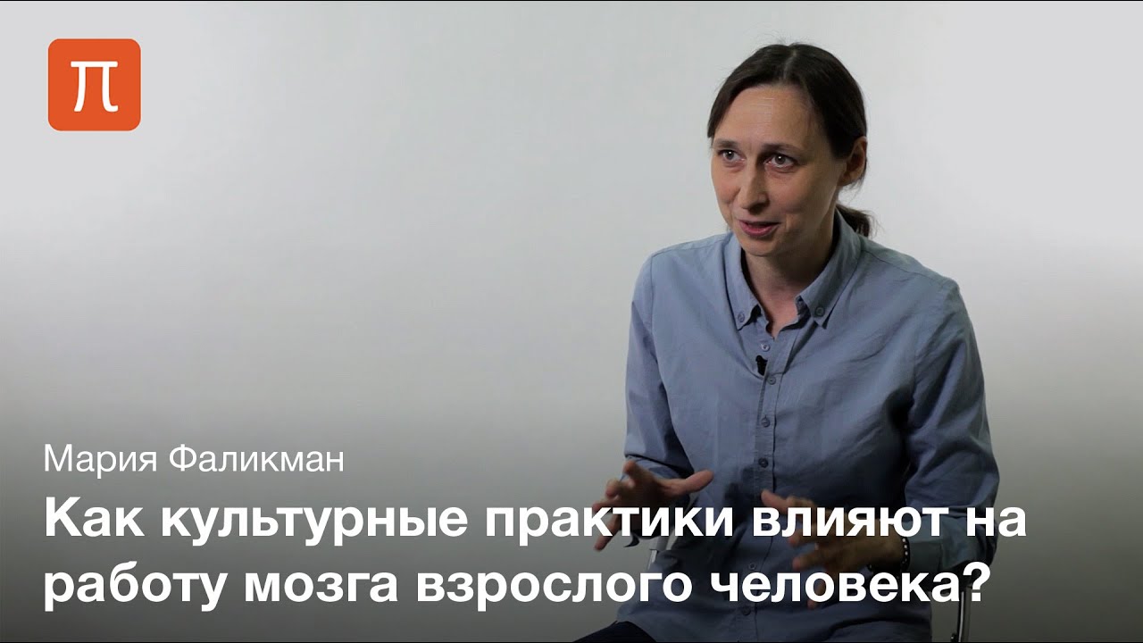 Культурная нейронаука — Мария Фаликман