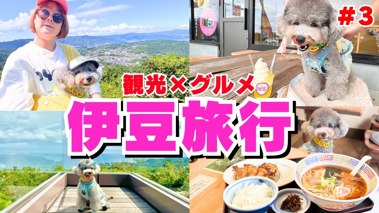 【伊豆高原旅行】愛犬と絶対行って欲しい観光スポットとグルメ紹介！【小室山リッジウォーク