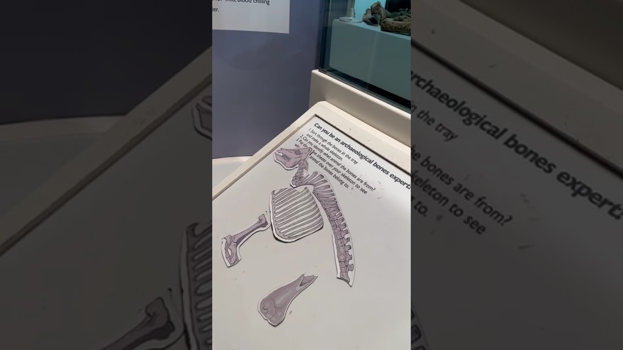 Blind Archaeology 