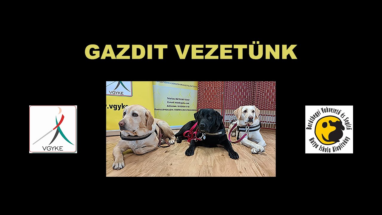 Gazdit vezetünk 3. rész: A közös munka