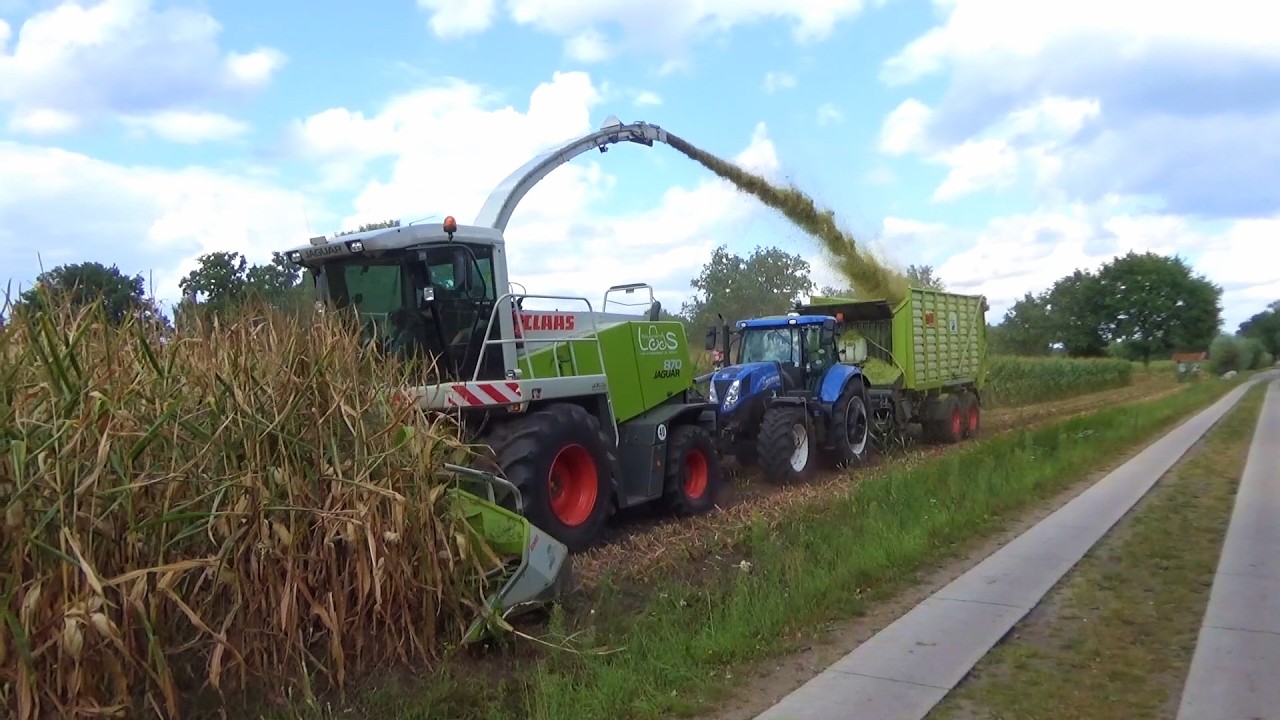 2025 Loos & Snippert corn silage