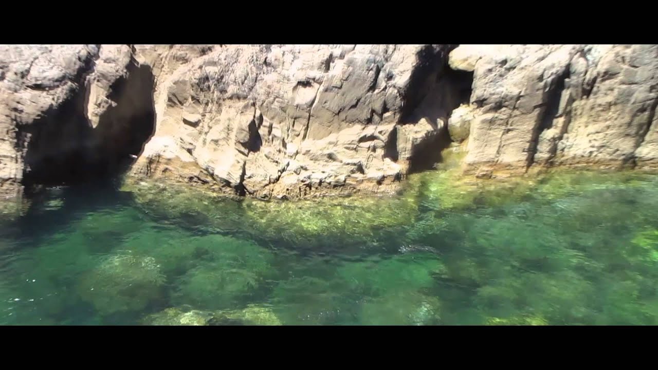 axel manrico heilhecker - paperdog