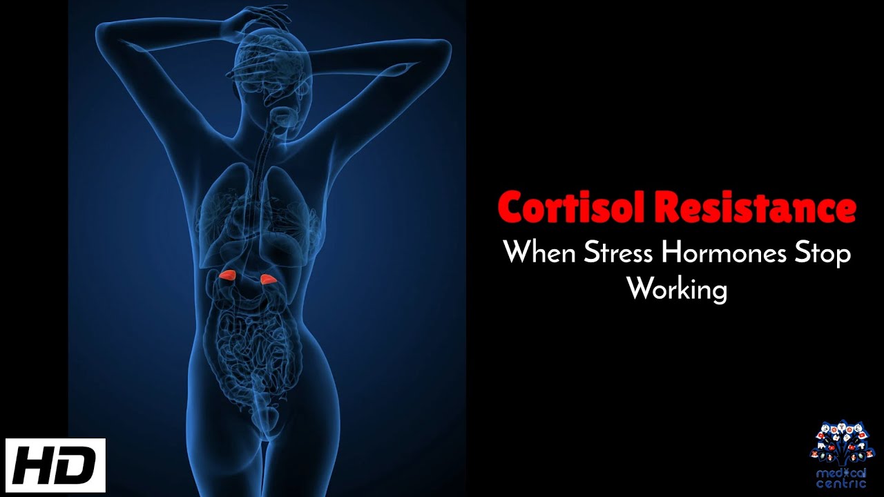 Cortisol Resistance : When Your Stress Hormone Stops Protecting You