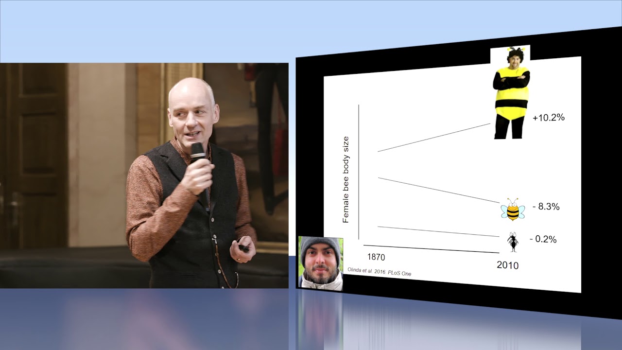 Sustainable Land Use Strategies