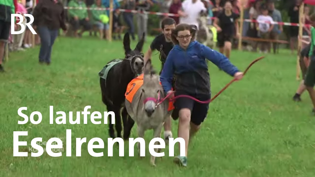 Die Esel der Familie Allinger: Echte Renner | Zwischen Spessart und Karwendel | BR