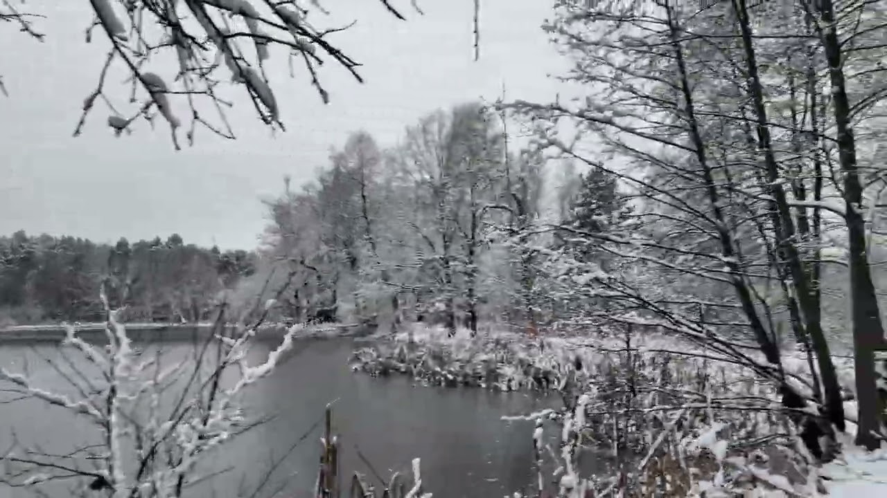 Morning Walk at Paprocany Lake in Tychy &ndash; First Snow | Ambient 4K (24.11.2025)
