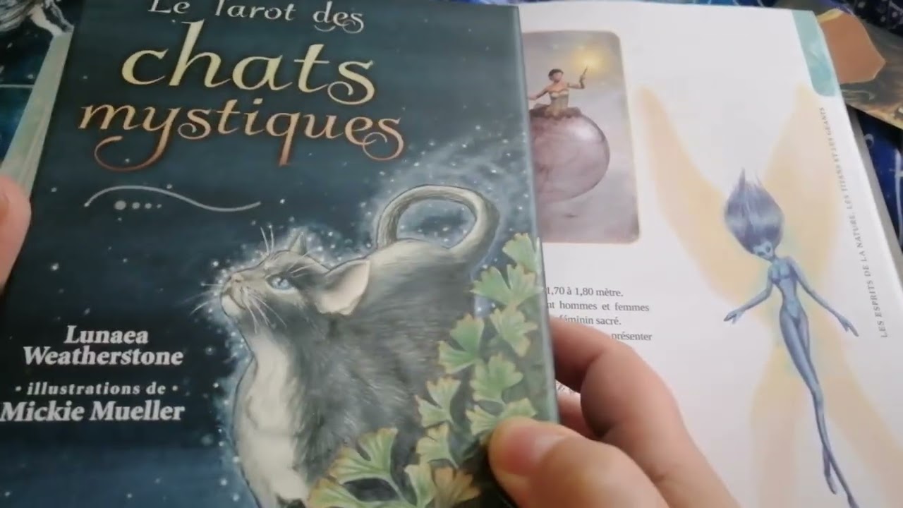 Le grand livre des êtres de lumière de Philippe Gilbert et de Martine isadora Guilbert