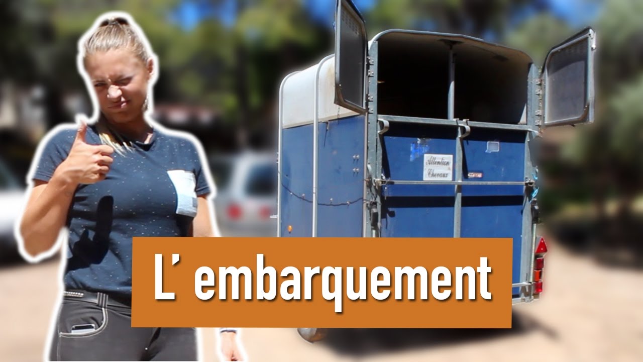 EMBARQUER UN CHEVAL DANS UN VAN 🚙