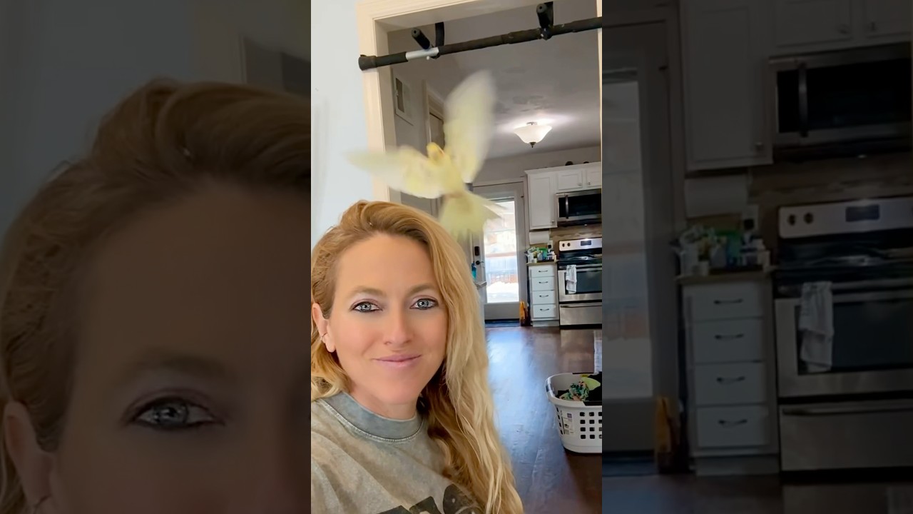 Having both Male and Female cockatiels! *watch the end🥰🫠