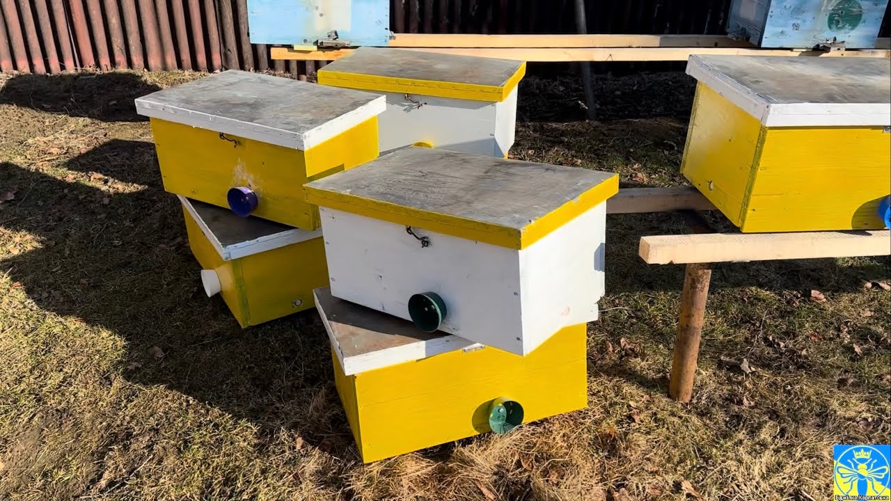 Новосілля 😁🐝