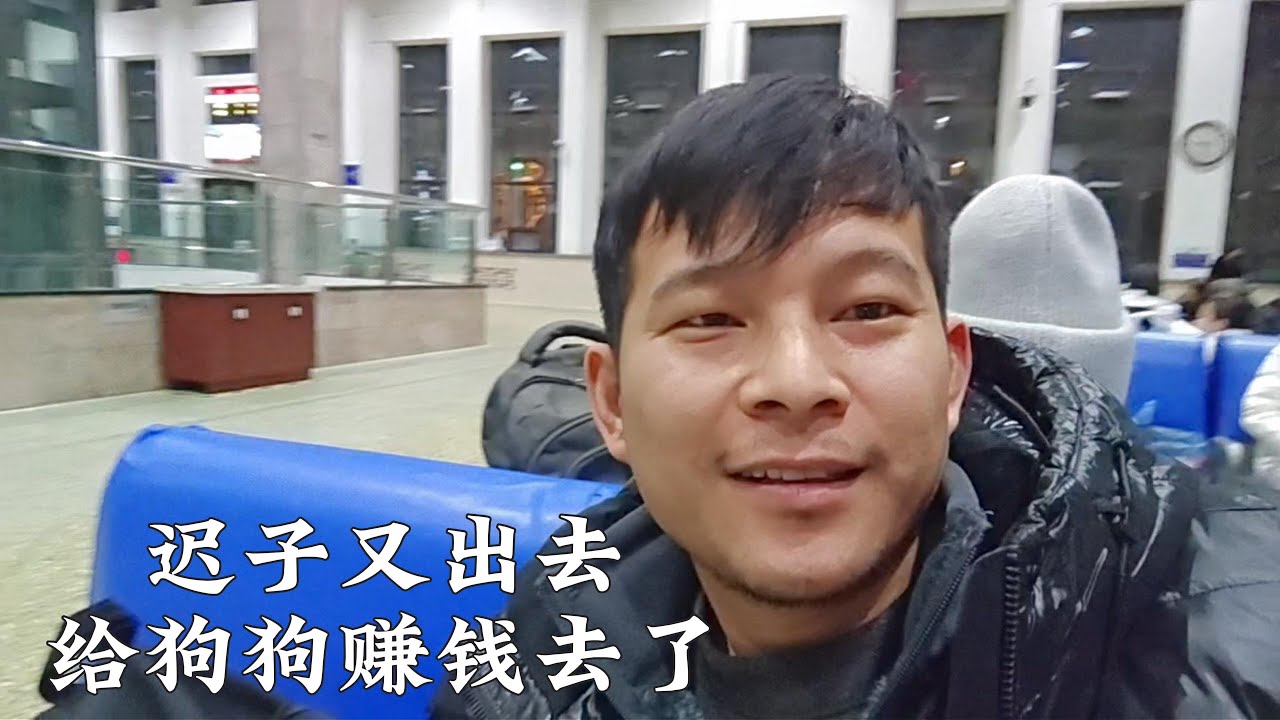 迟子为了这400条生命，也是为了生活，开始奔波了带货赚钱