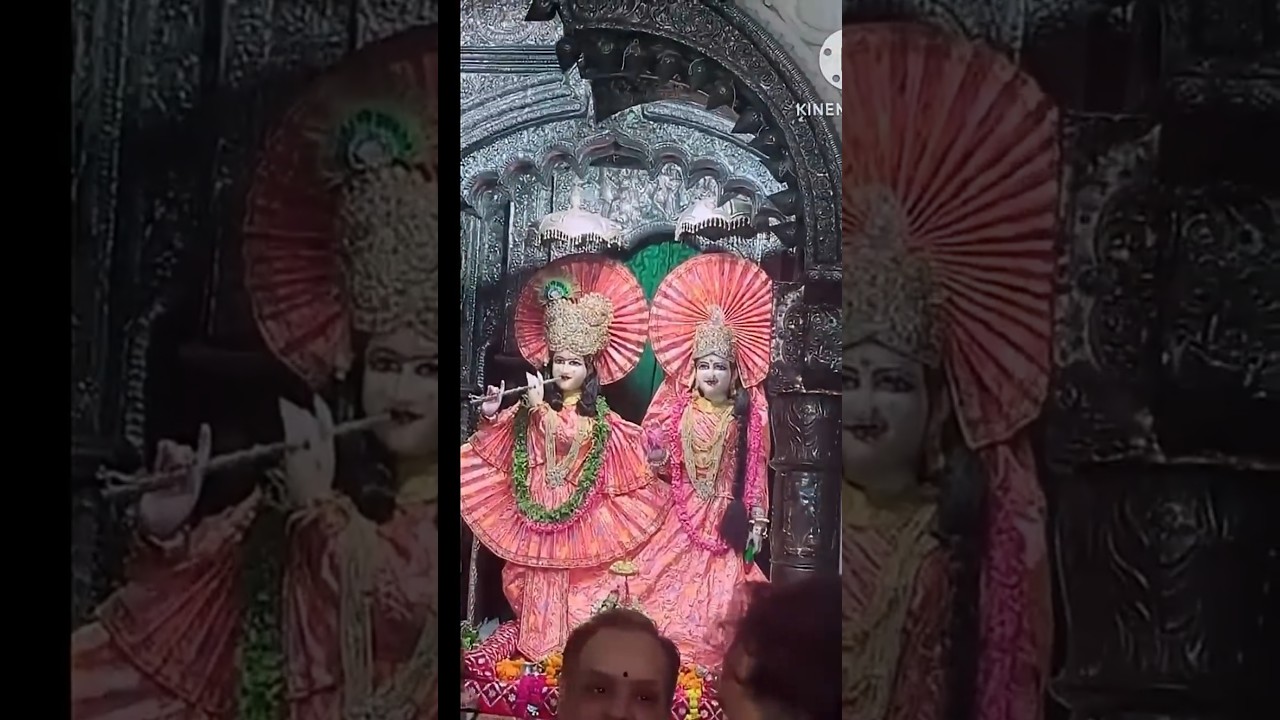 yeh to batado barsane wali#radheradhe#krishna#reels#radhe#viralreels#reelitfeelit#trending#vrindavan