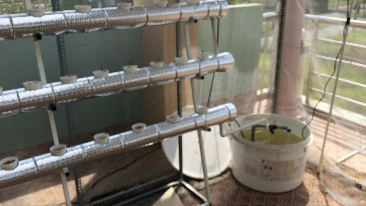 thuỷ canh hồi lưu ống PVC 90 kiểu zig zag