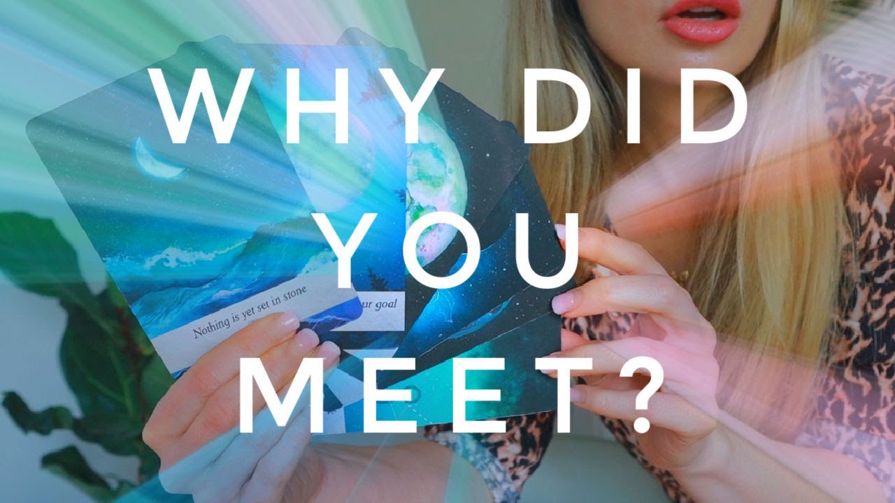 WHY DID YOU MEET THIS PERSON? Pick a Card // Tarot (timeless)