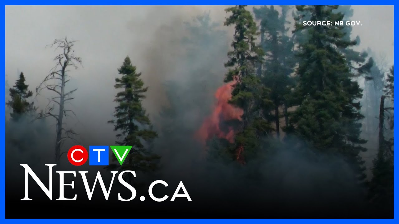 New Brunswick dealing with 6 out of control wildfires