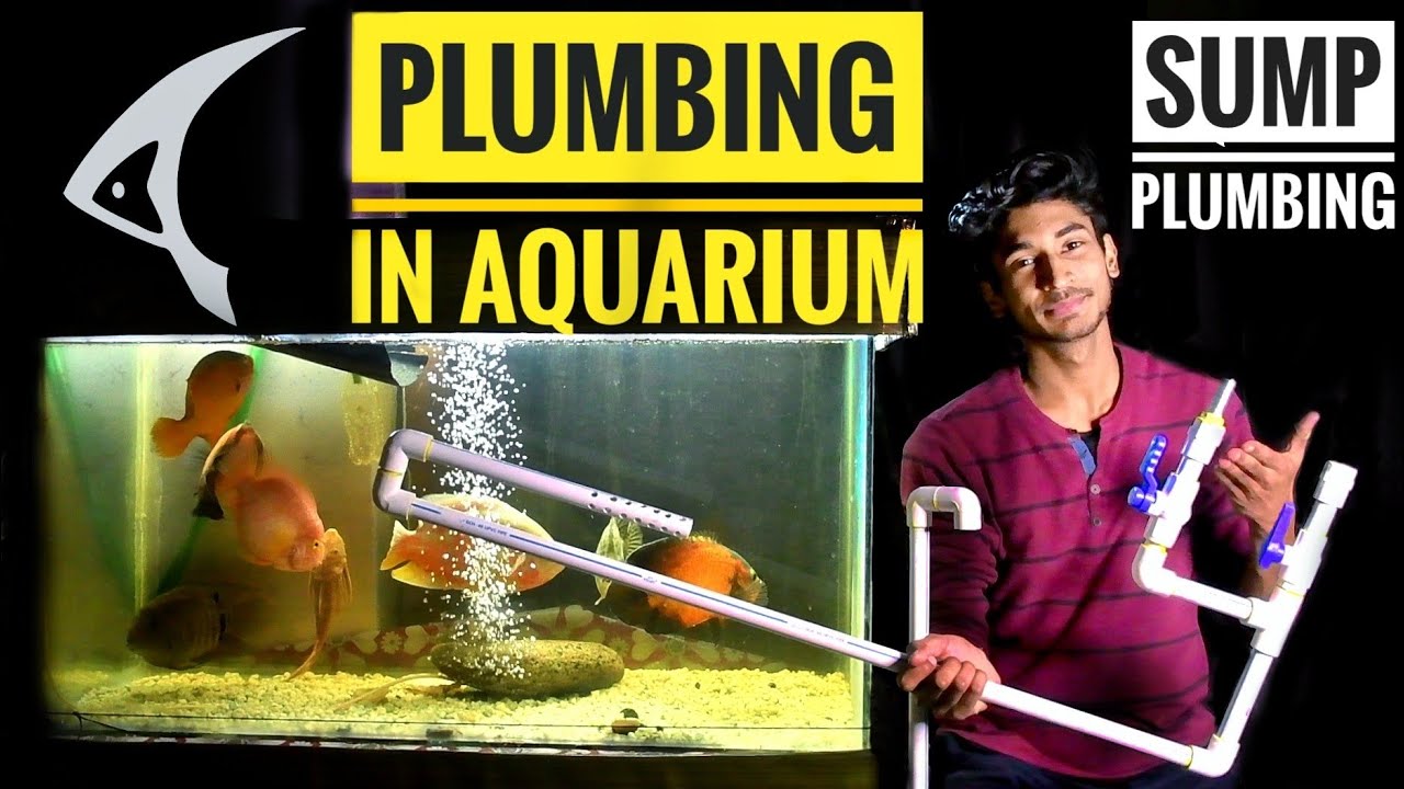 How To Do Aquarium Plumbing || Sump Filter Plumbing
