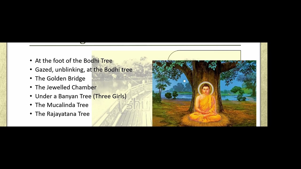 Dhamma teaching by Bhante Dhamananda