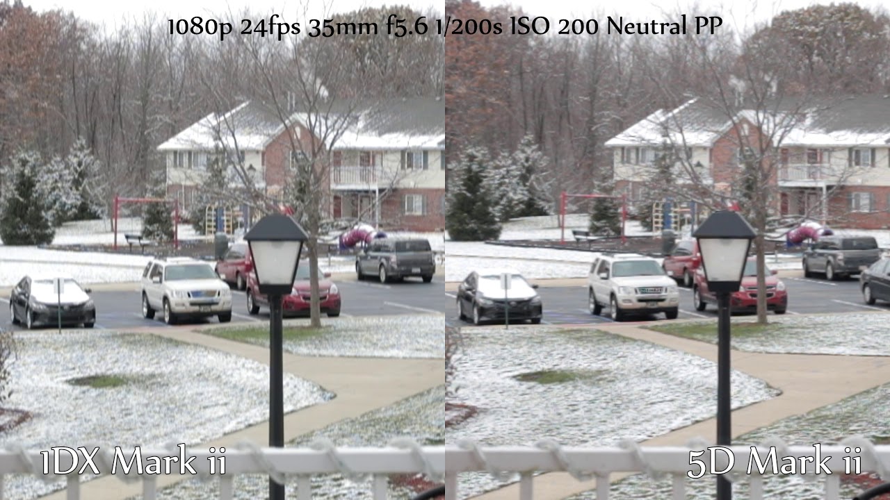 Canon 1DX Mark II vs 5D Mark II Daytime 1080p and 4K