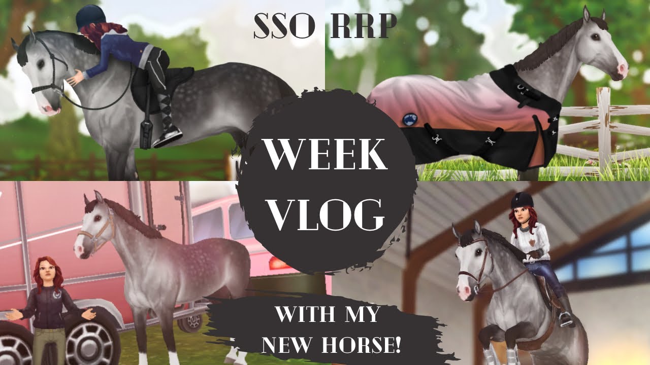 SSO RRP || Week in the life with my new horse || Autumn Oakwin