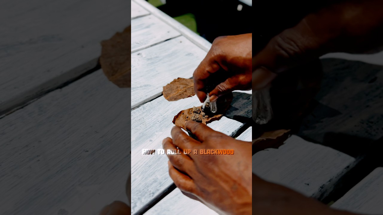 How to roll up a backwood #backwoodslife #smokerlife #stonervibes #stonerthoughts #stonervibe
