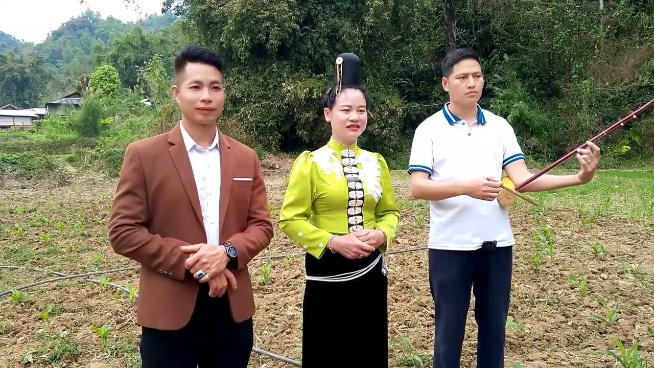 Hoa núi hát hay lắm mọi người cùng nghe đi ạ 