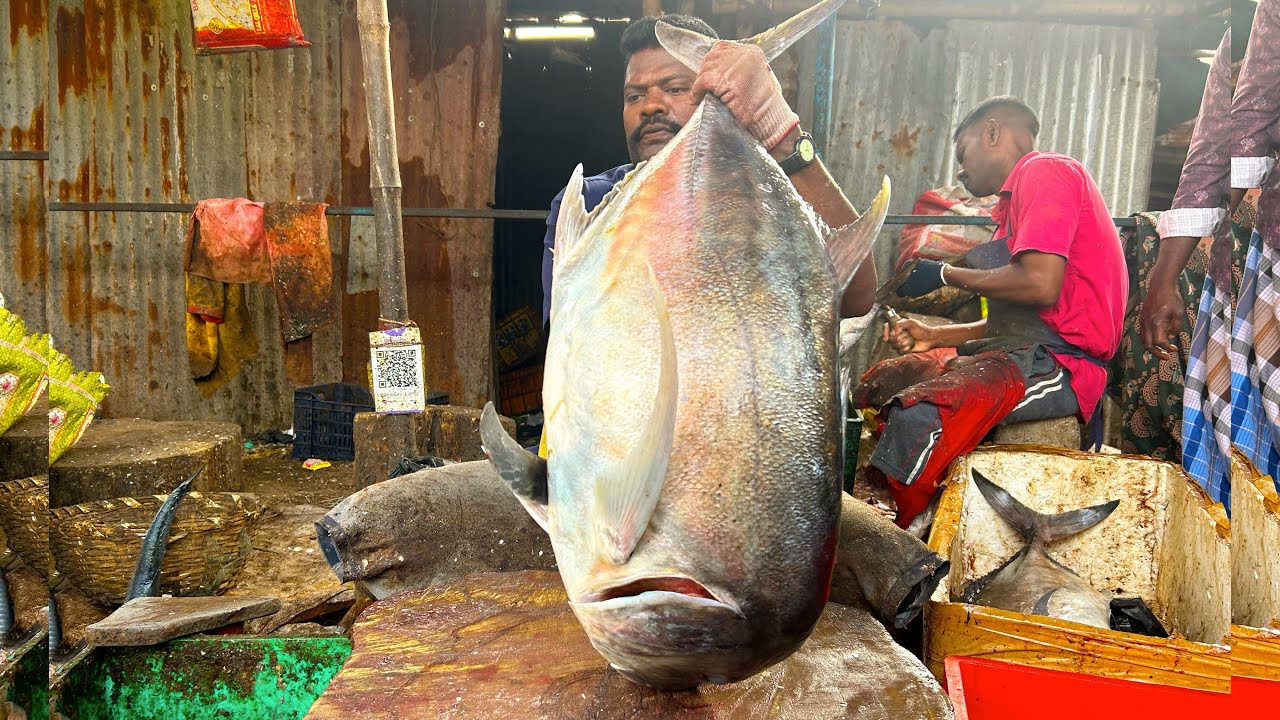KASIMEDU 🔥SPEED SELVAM | BIG PARRAI🍣 FISH 🐟 MASS CUTTING SKILLS | N M FISH CUTTING 🔪