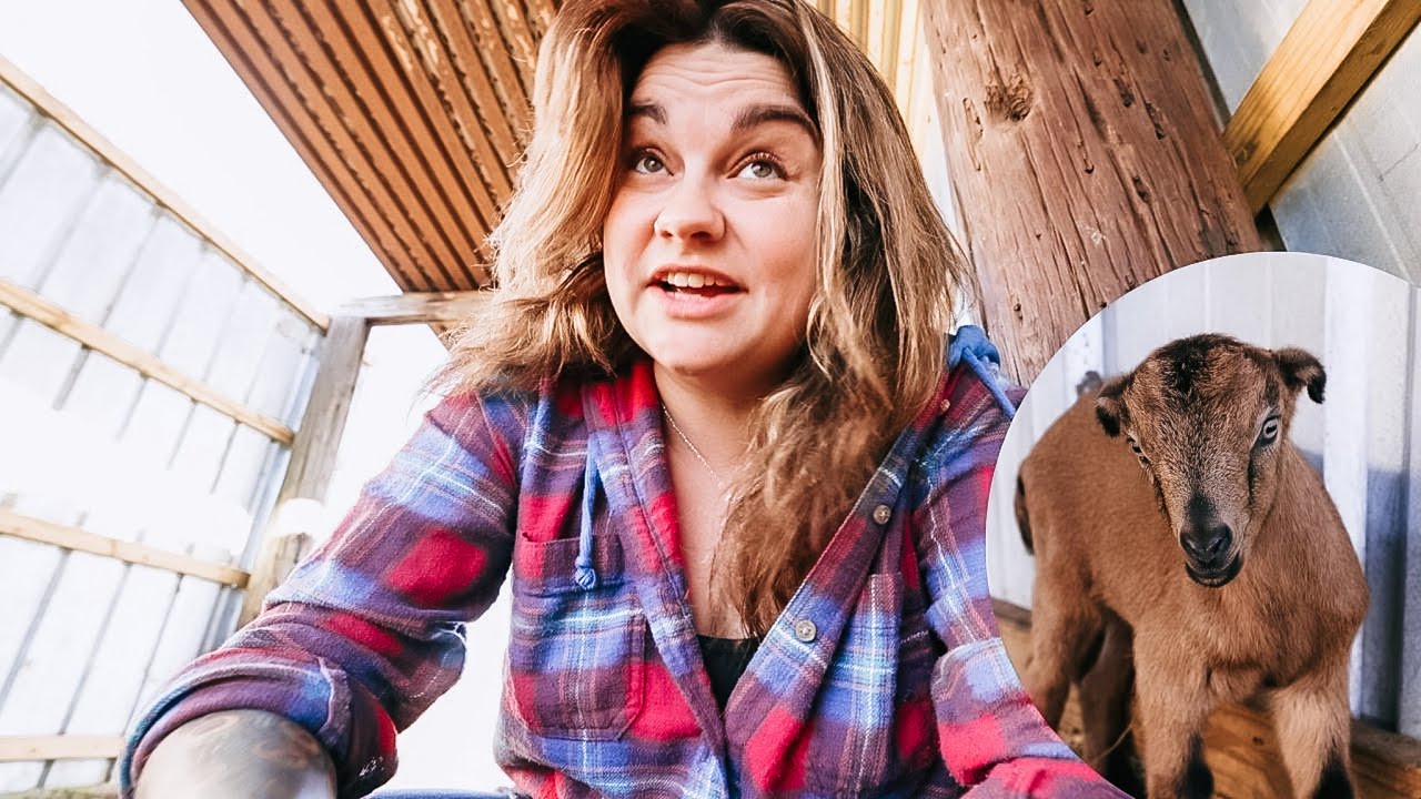 Has Spring Sprung? (First kidding of the season and garden plans unfold) | VLOG