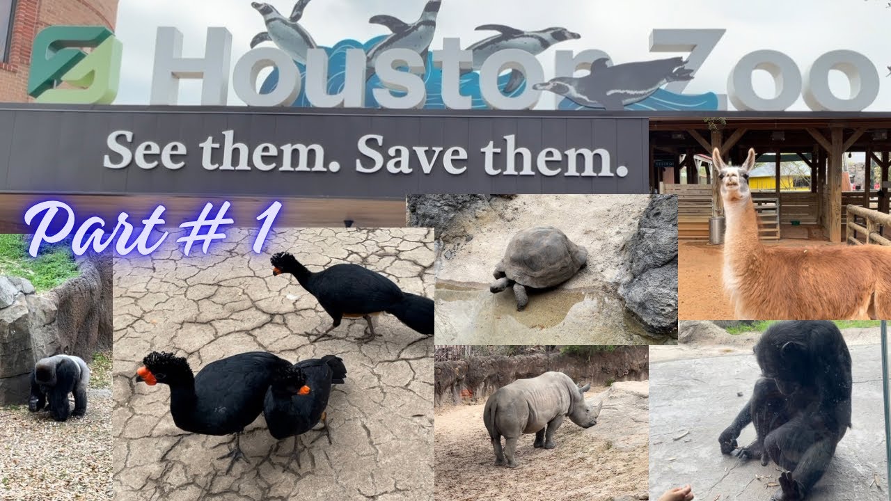 Houston Zoo part # 1 