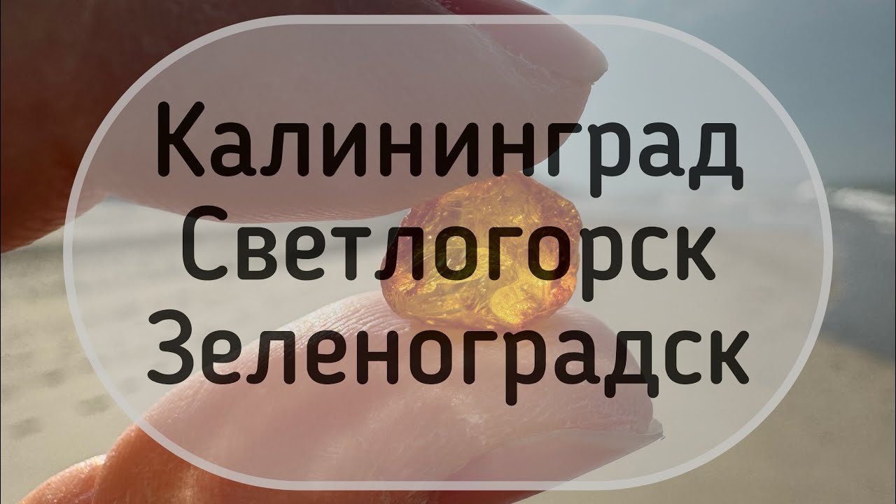 Калининградская область за 7 дней на арендованном авто. Аренда авто. Обзор апартаментов. Калининград