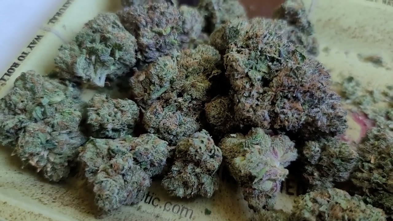 Strain Alert : Laughing Gas