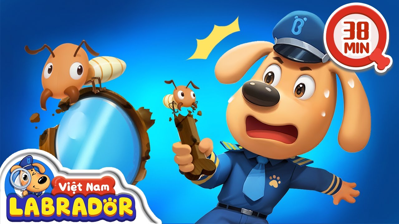 🐜 Những con mối mọt gây hại 👮 Cảnh sát trưởng Labrador Vietnam 🚔
