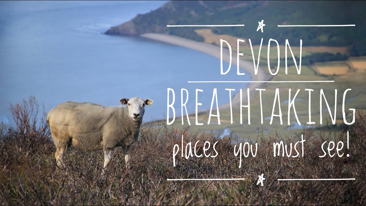 Breathtaking places in Devon  you must see! 🐟