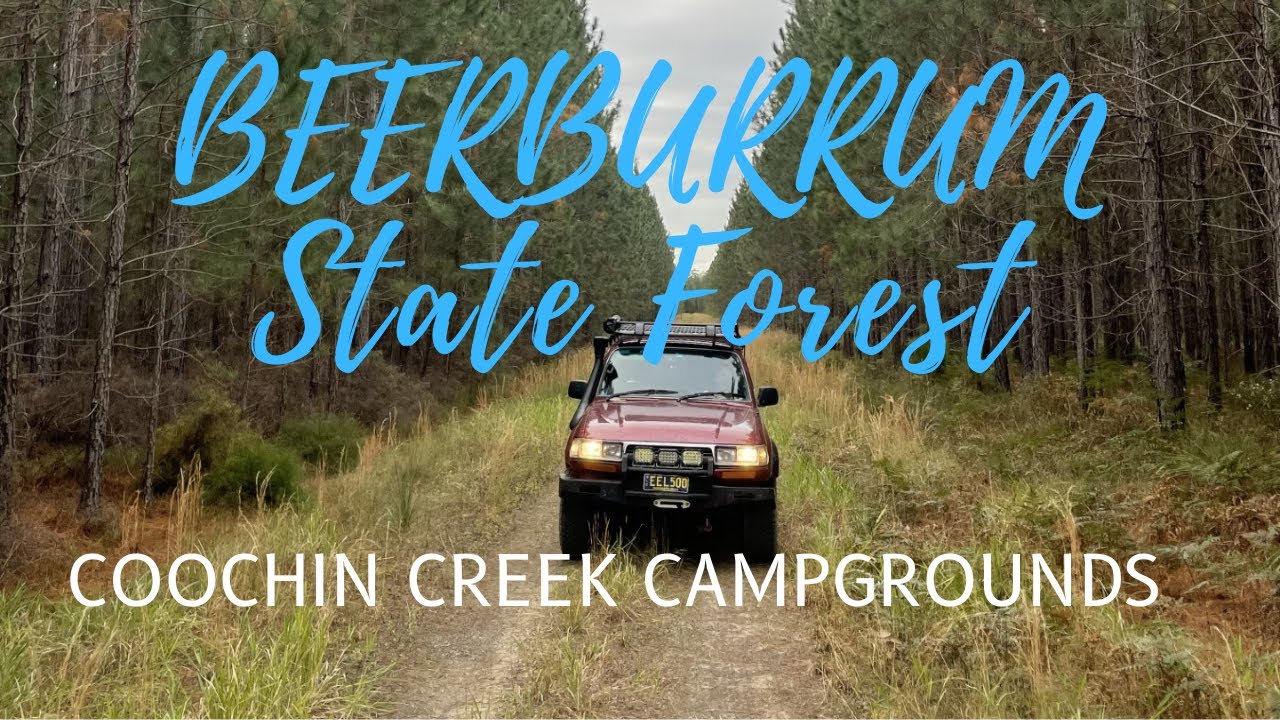 Drive Beerburrum State Forest. Coochin Creek Campgrounds and Boat Ramp. Roys Creek Boat Ramp.