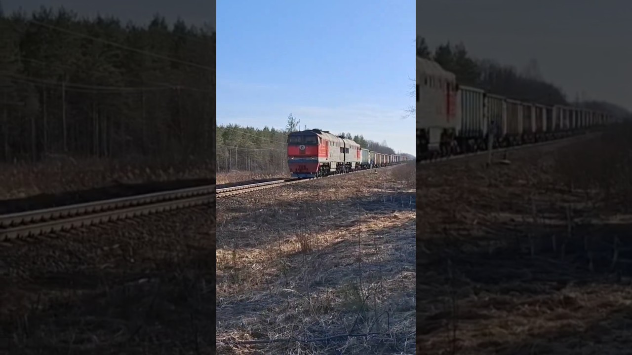 2тэ116 647 по тепловозной ветке. #поезда #поезда #train #поездавидео #октябрьскаяжелезнаядорога