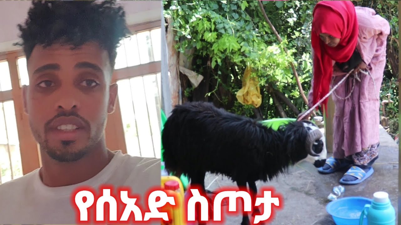 ለሰአድ ከውጭ የበግ ስጦታ መጣላት ❤