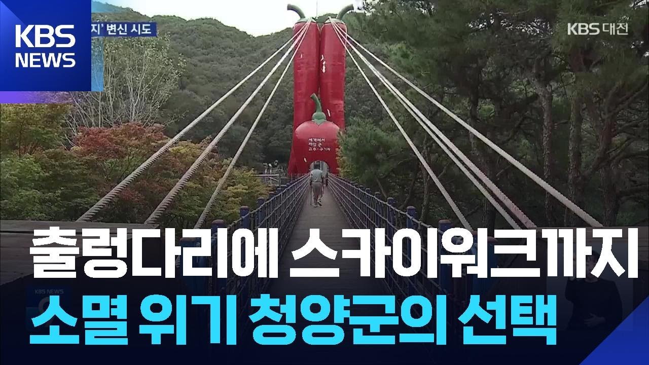 출렁다리에 스카이워크까지…소멸 위기 청양군의 선택 / KBS  2025.10.22.