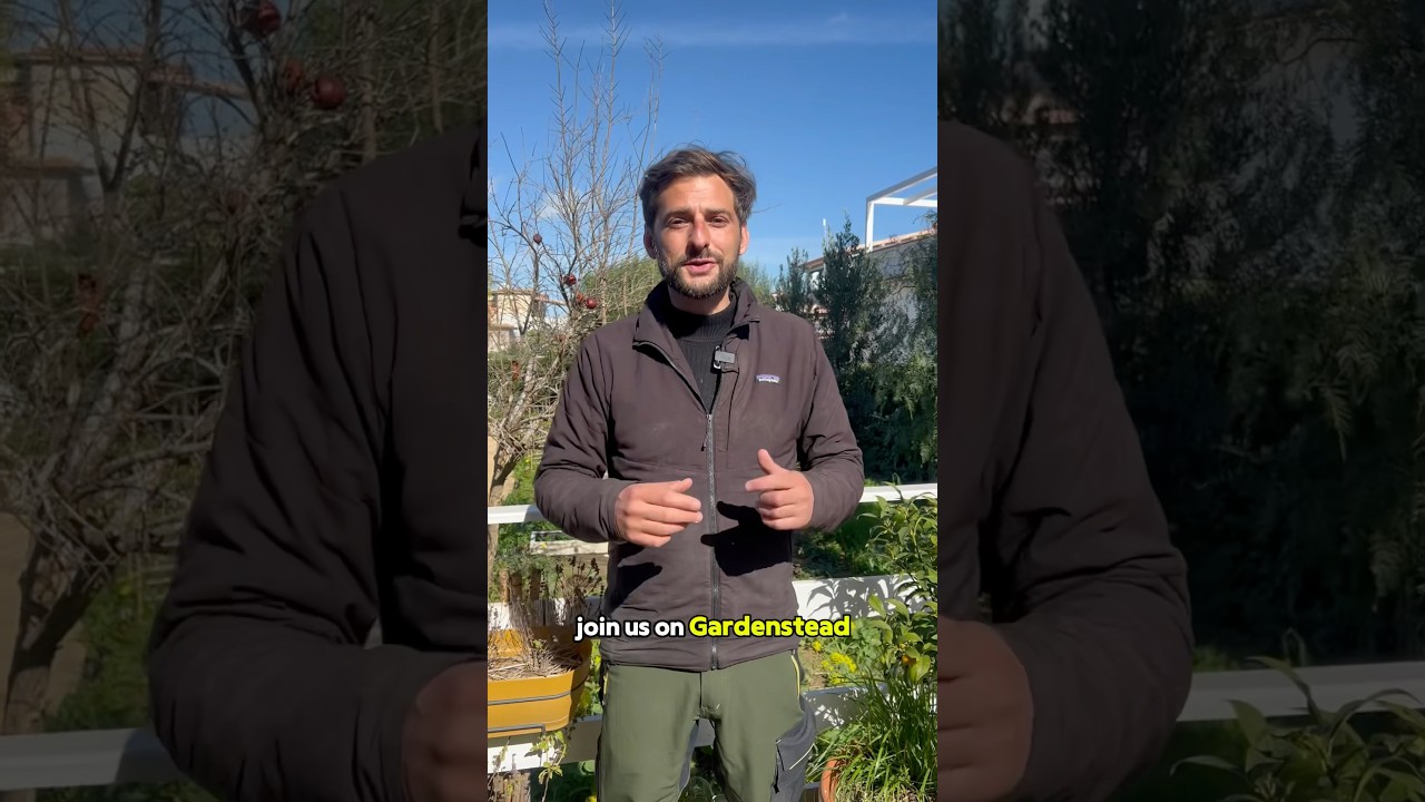 Join me on Gardenstead 💚 Our new free gardening social media app 🌿 ​⁠Link below! #gardening