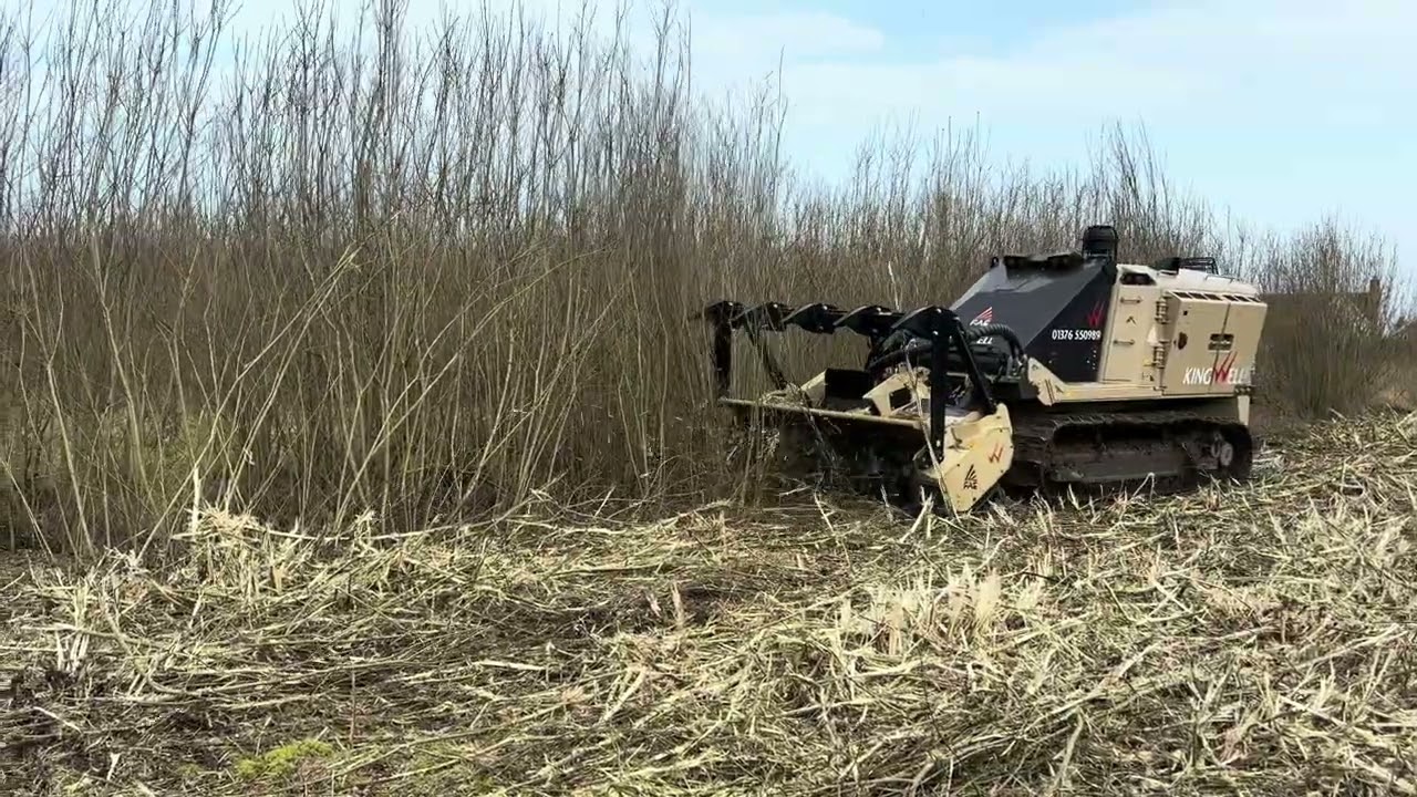 Kingwell FAE D:Mine 300hp remote control mulcher clearing heavy Willow regen.