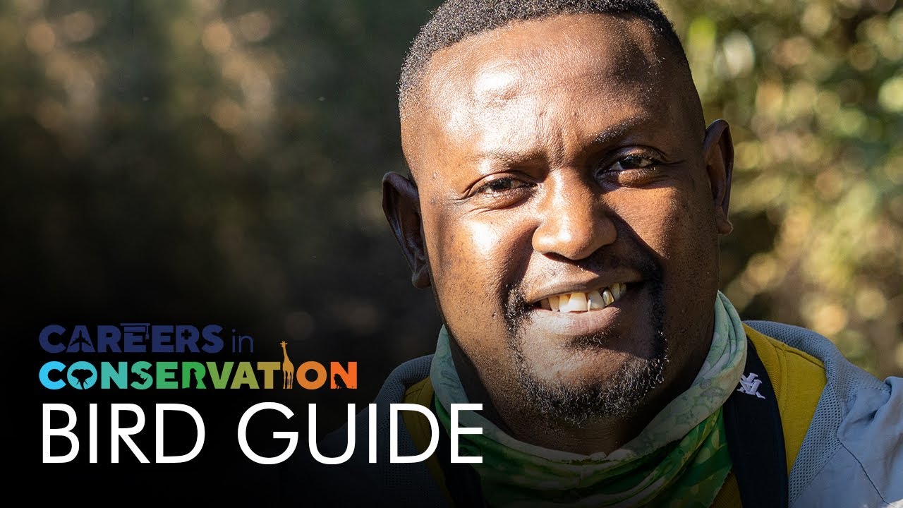 Careers in Conservation | Wisani Mkansi | Bird Guide