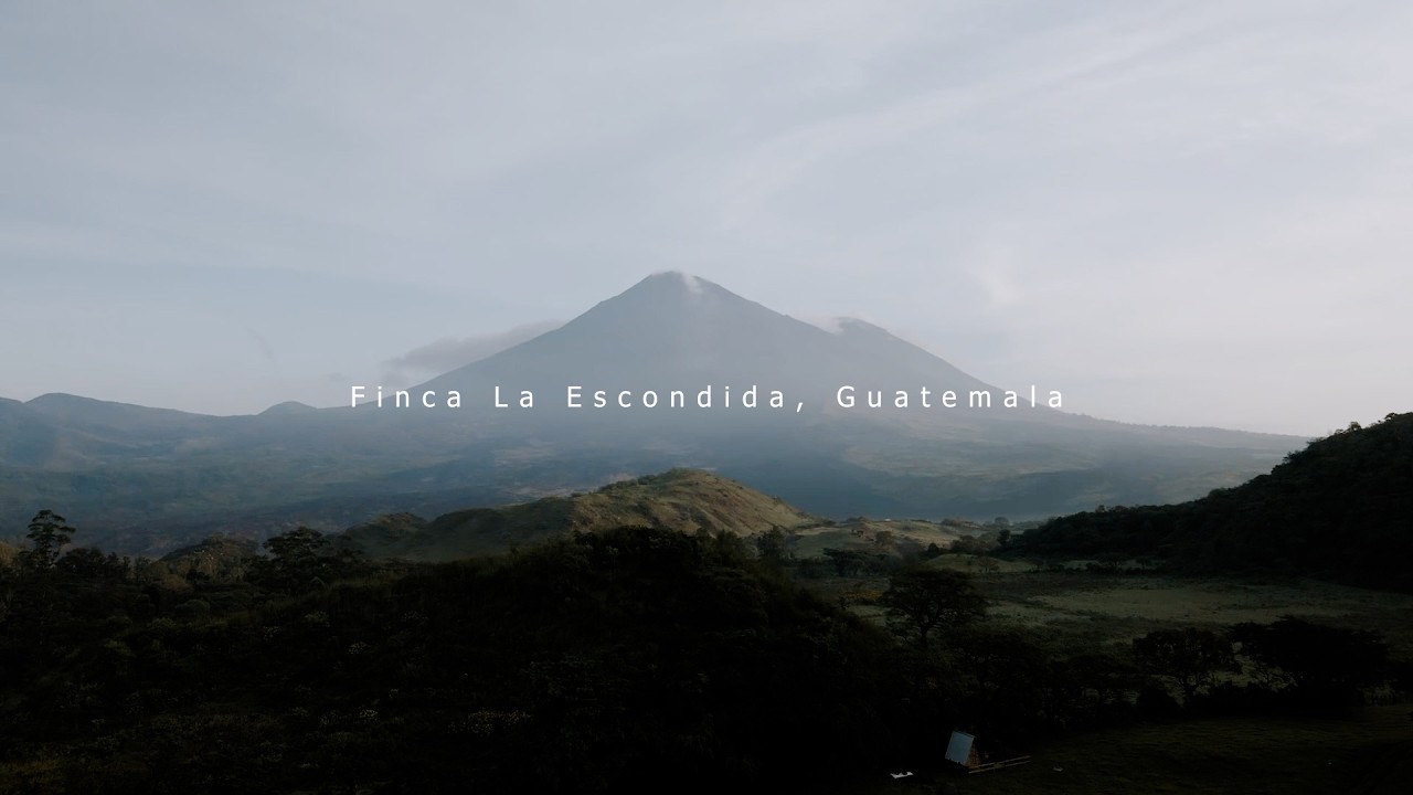 Is This the Most Beautiful Campssite in Central America? | Hidden Paradise in Guatemala