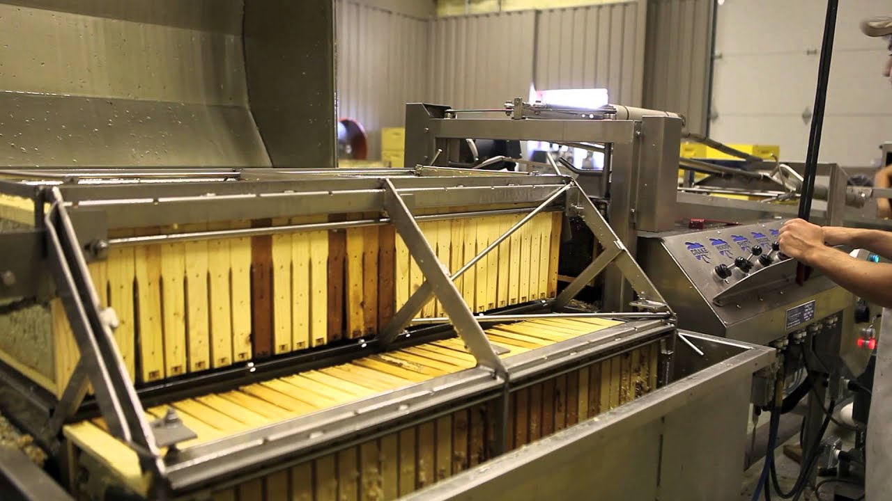 Extracting Honey