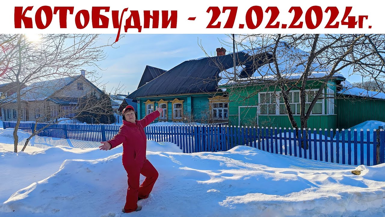 Международный День оптимиста в деревне Москва или КОТоБудни от 27.02.24г.  |  Online life in Russia